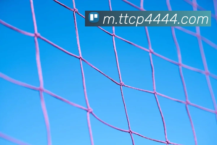 天天彩票官方网站平台生态图